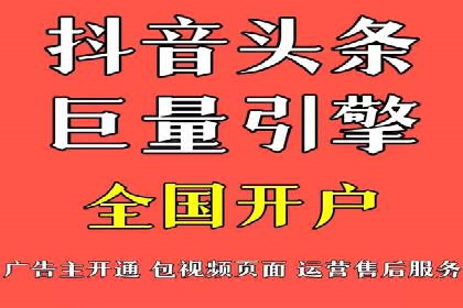 专业SEM服务公司案例分析报告